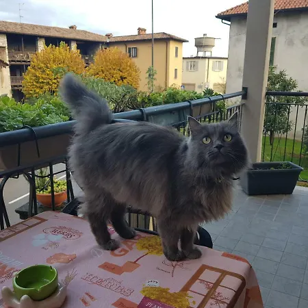 Erbagatta Vendégház Erba