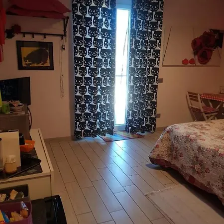Erbagatta Erba